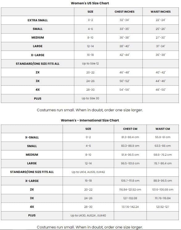 Adults Bumble Bee Costume