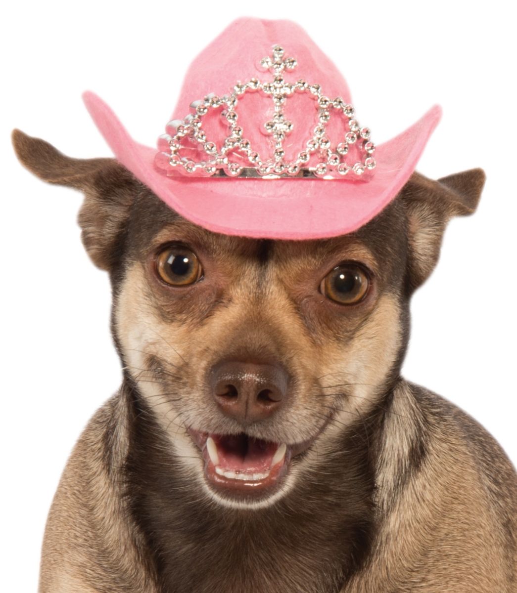 Pets Cowboy Hat - Various Colors