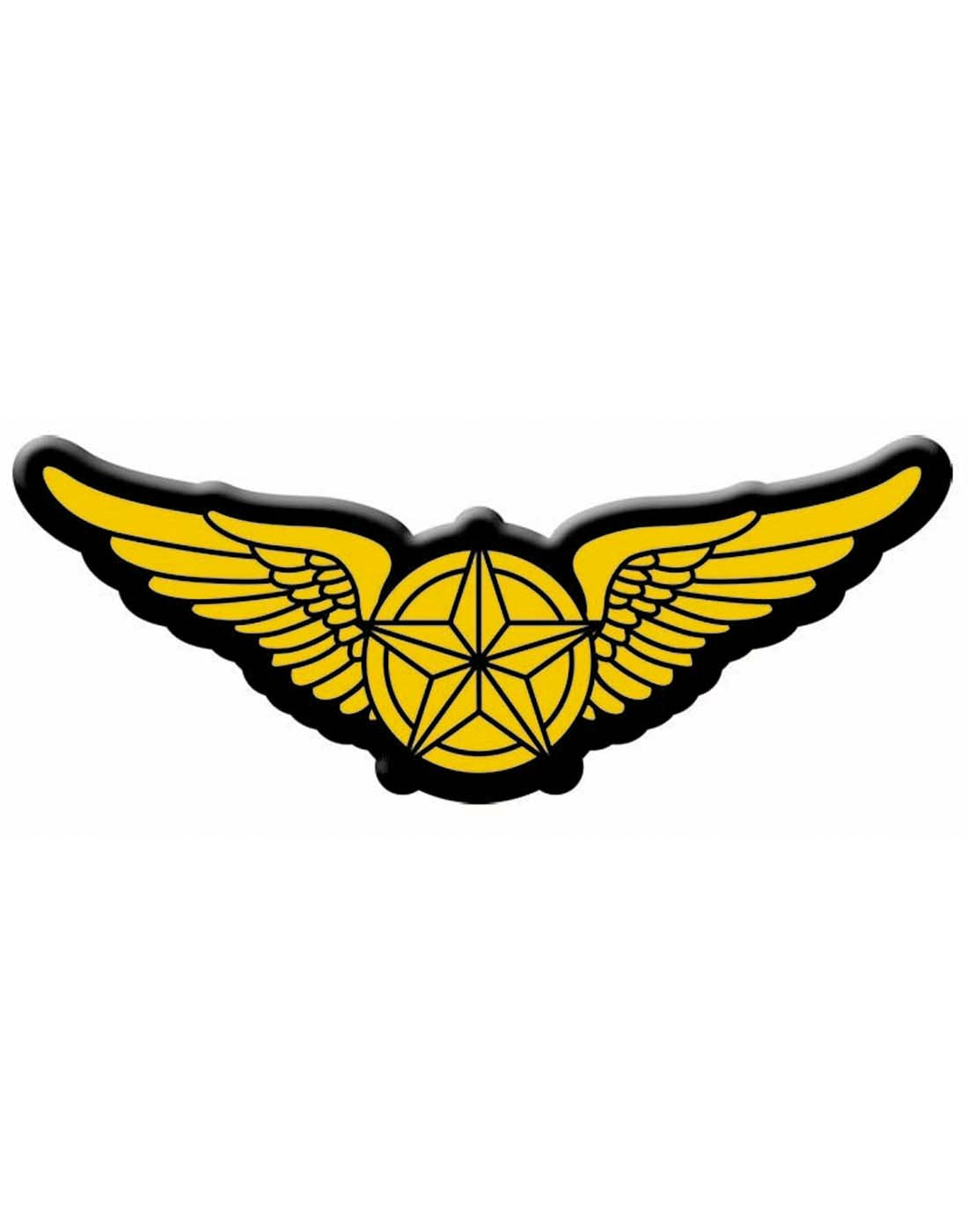 Pilot Wings Iron On Patch Costume Accessory