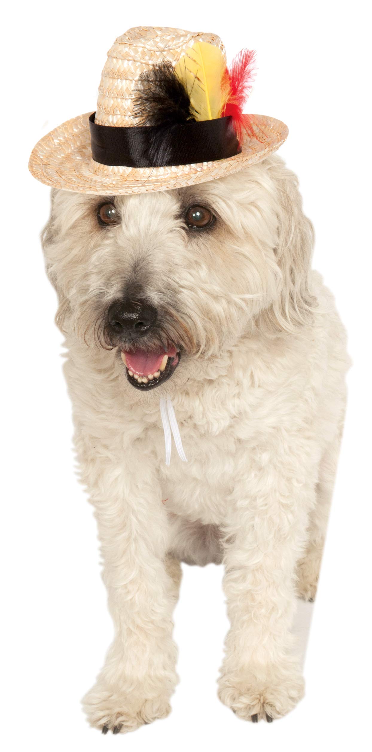 Pets Fedora Hat with Feather Costume Accessory