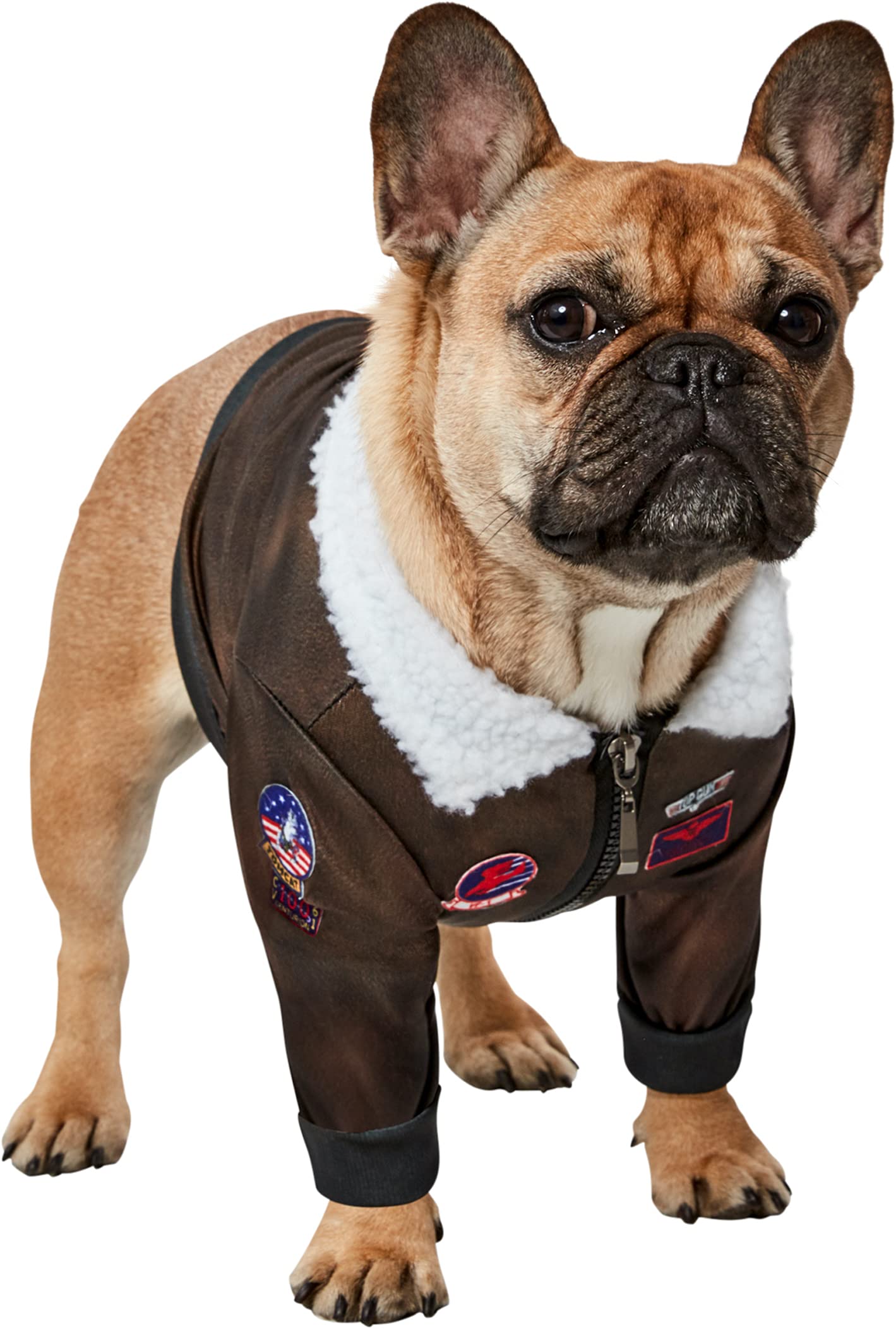 Pets Top Gun Movie Costume