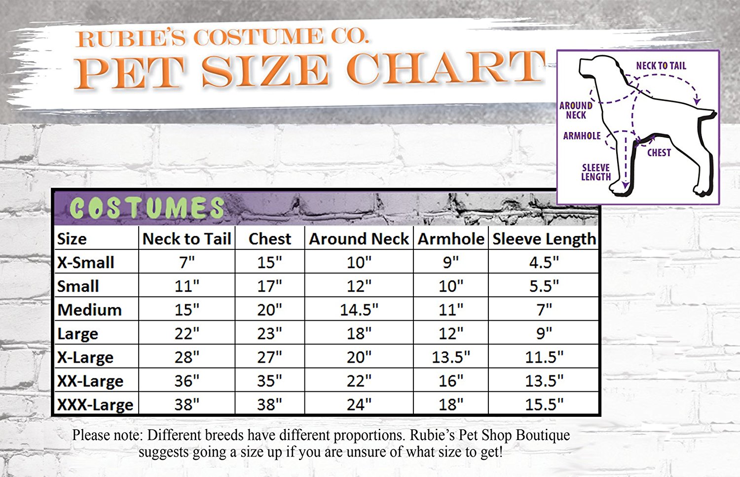 Pets Elf Hat w/ Bell and Collar