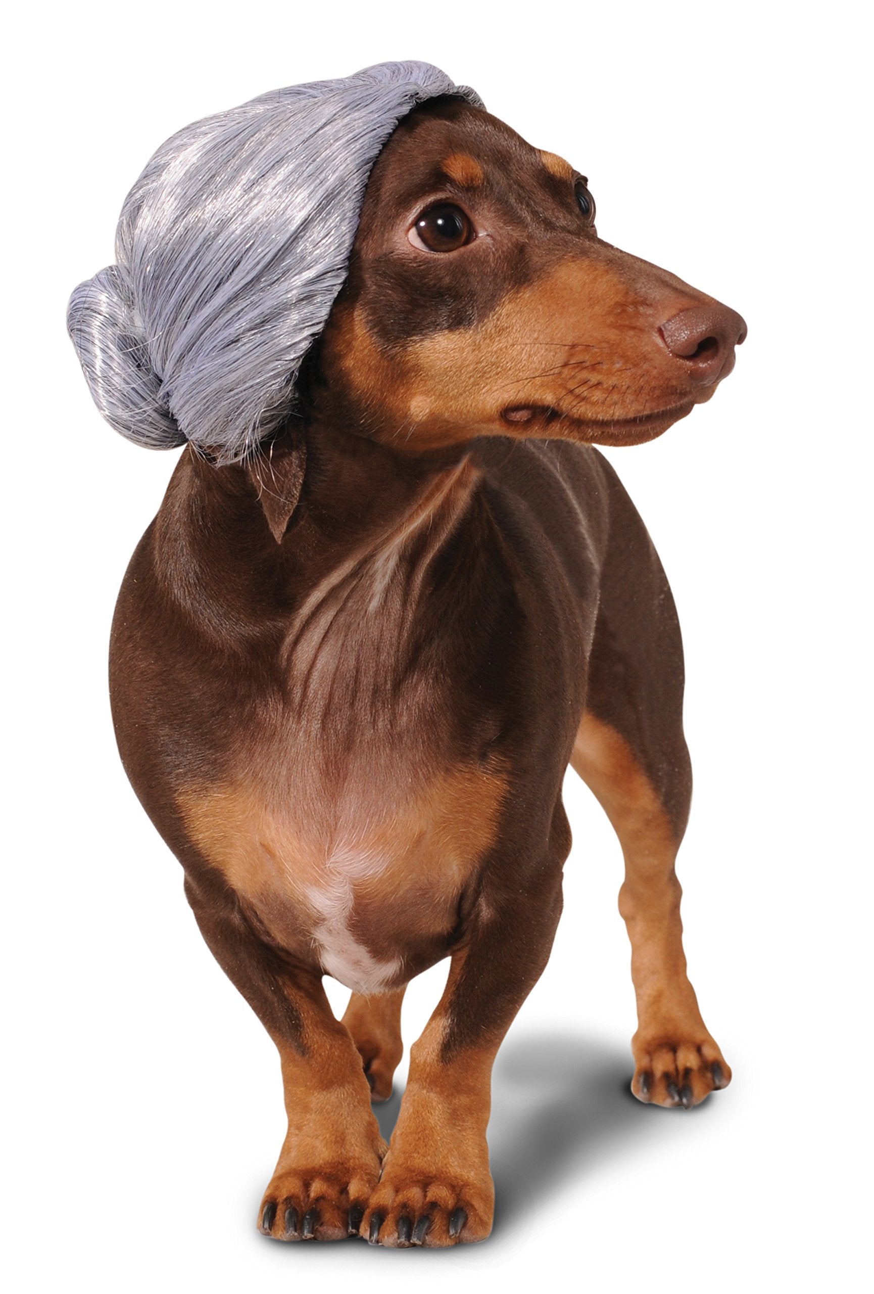 Pets Old Lady Costume Wig