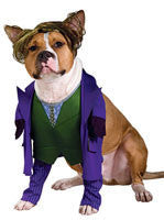 Pets Batman The Joker Costume