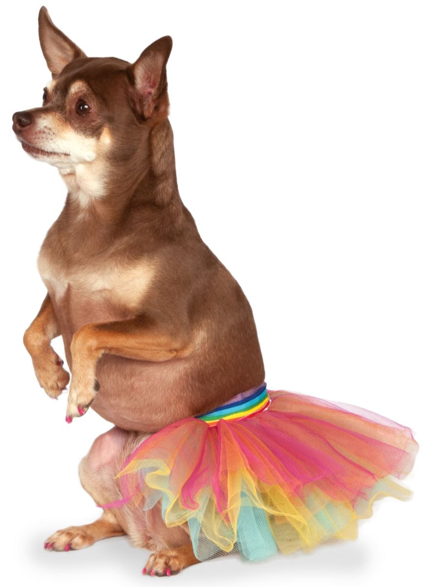 Pets Tutu - Various Colors