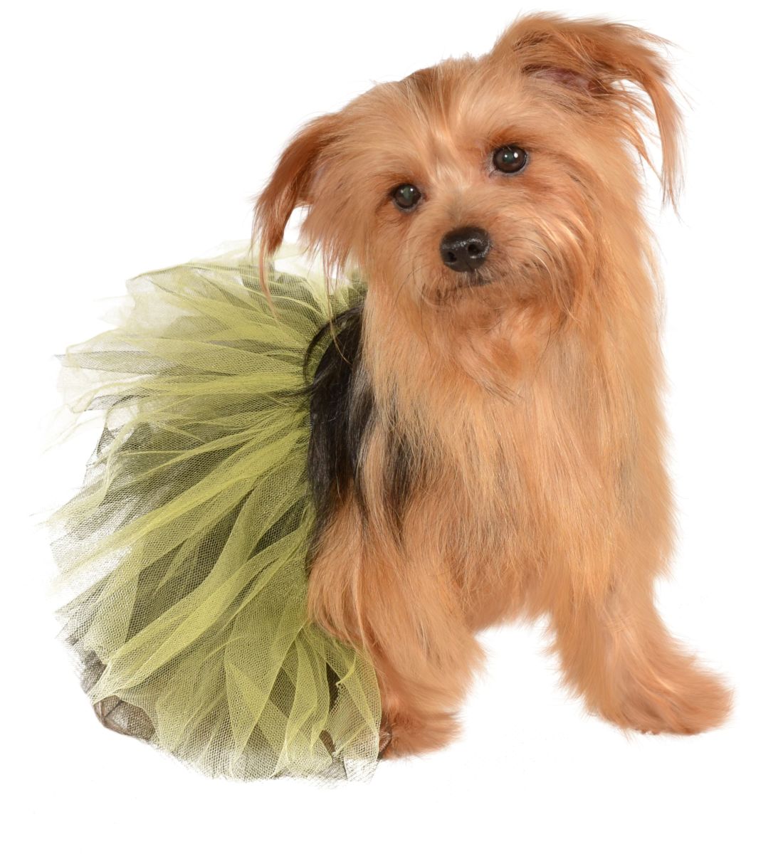Pets Tutu - Various Colors