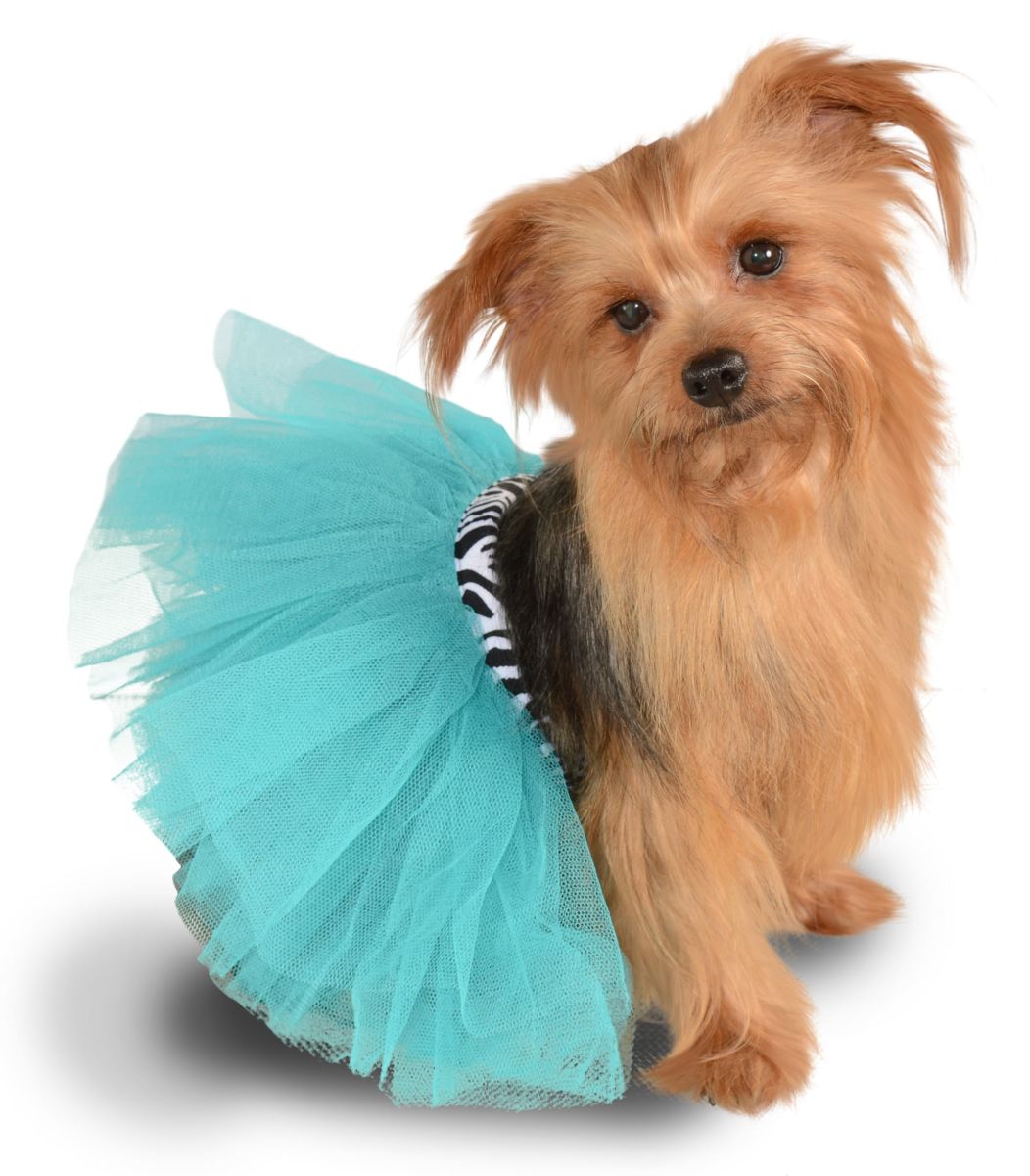 Pets Tutu - Various Colors