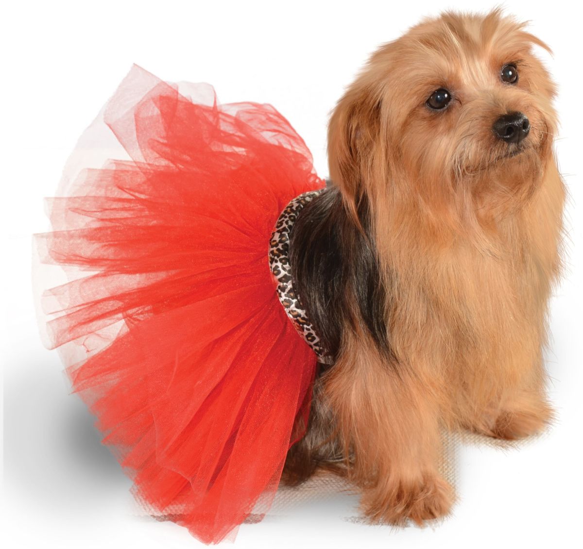 Pets Tutu - Various Colors