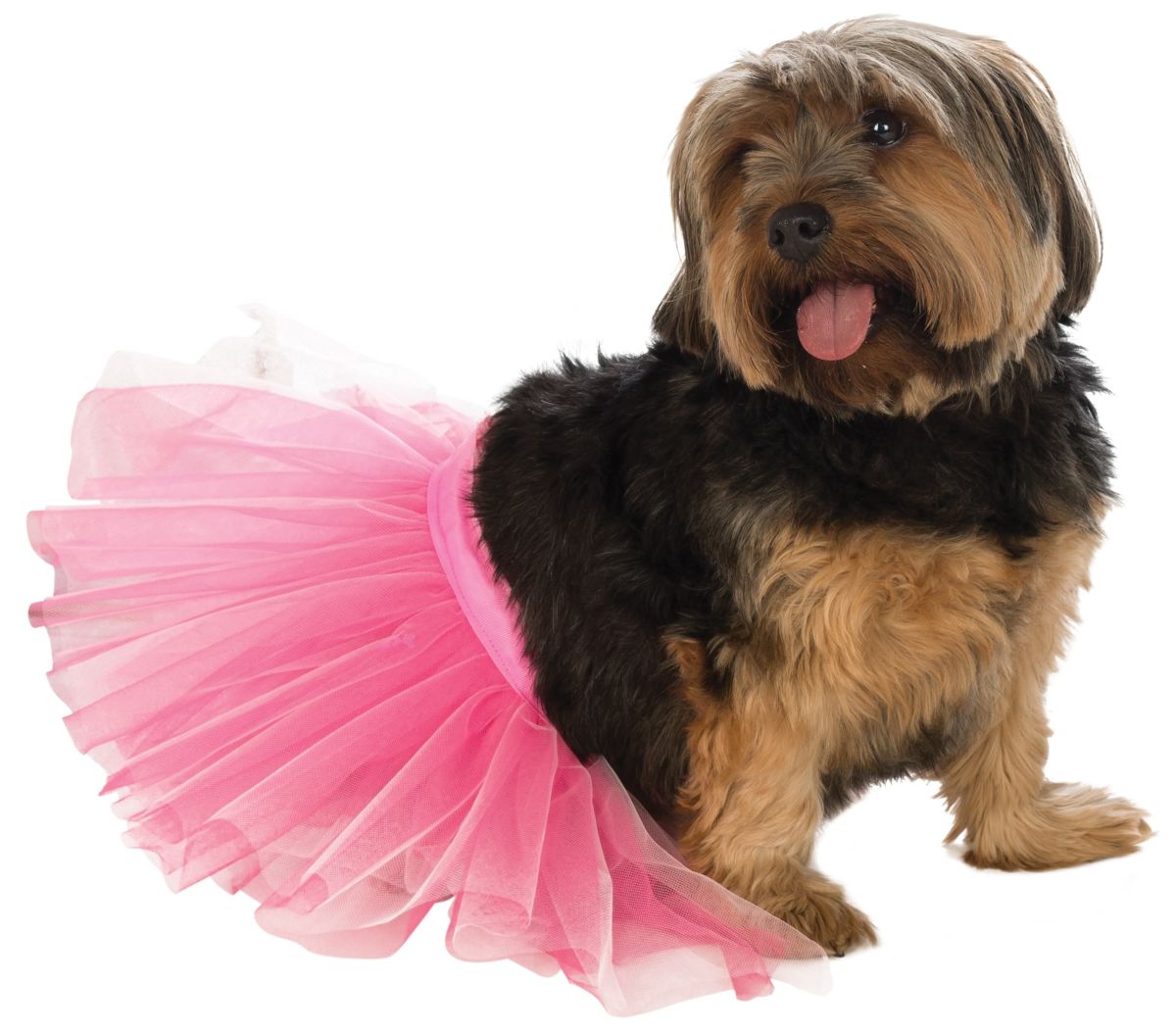 Pets Tutu - Various Colors