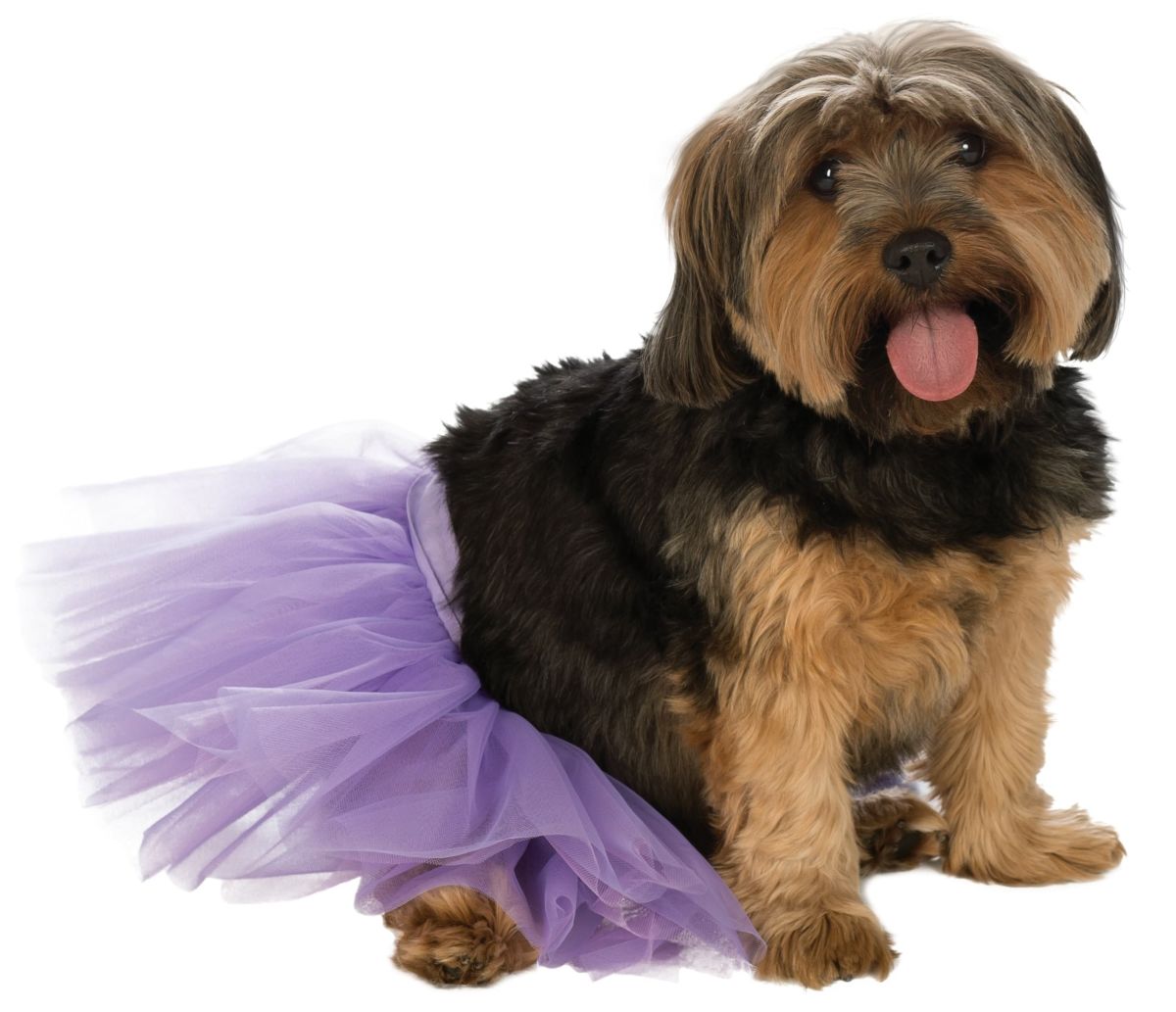 Pets Tutu - Various Colors