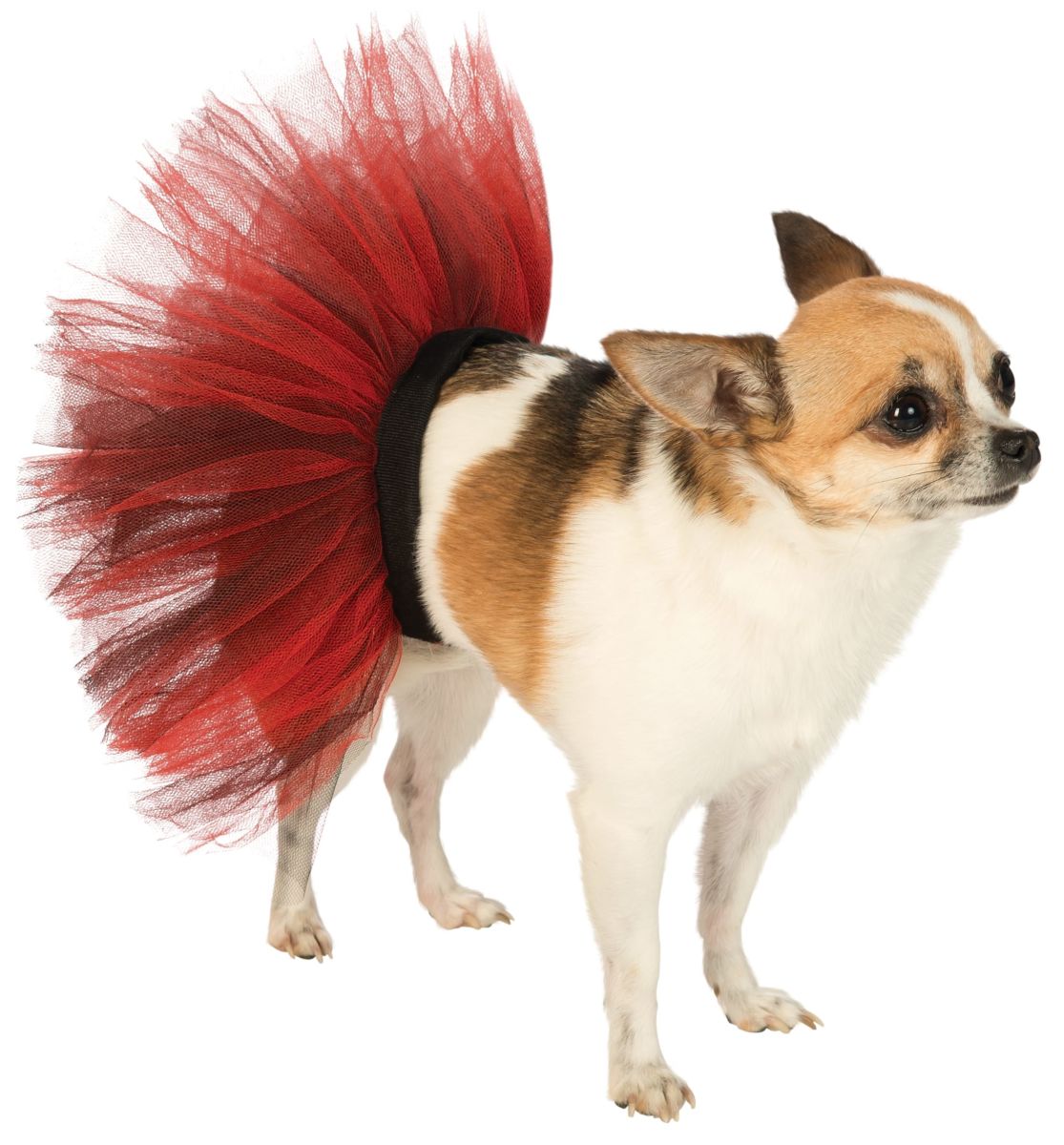 Pets Tutu - Various Colors