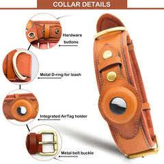 Leather Anti-Lost Dog Collar