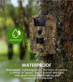 Hunting Trail Camera