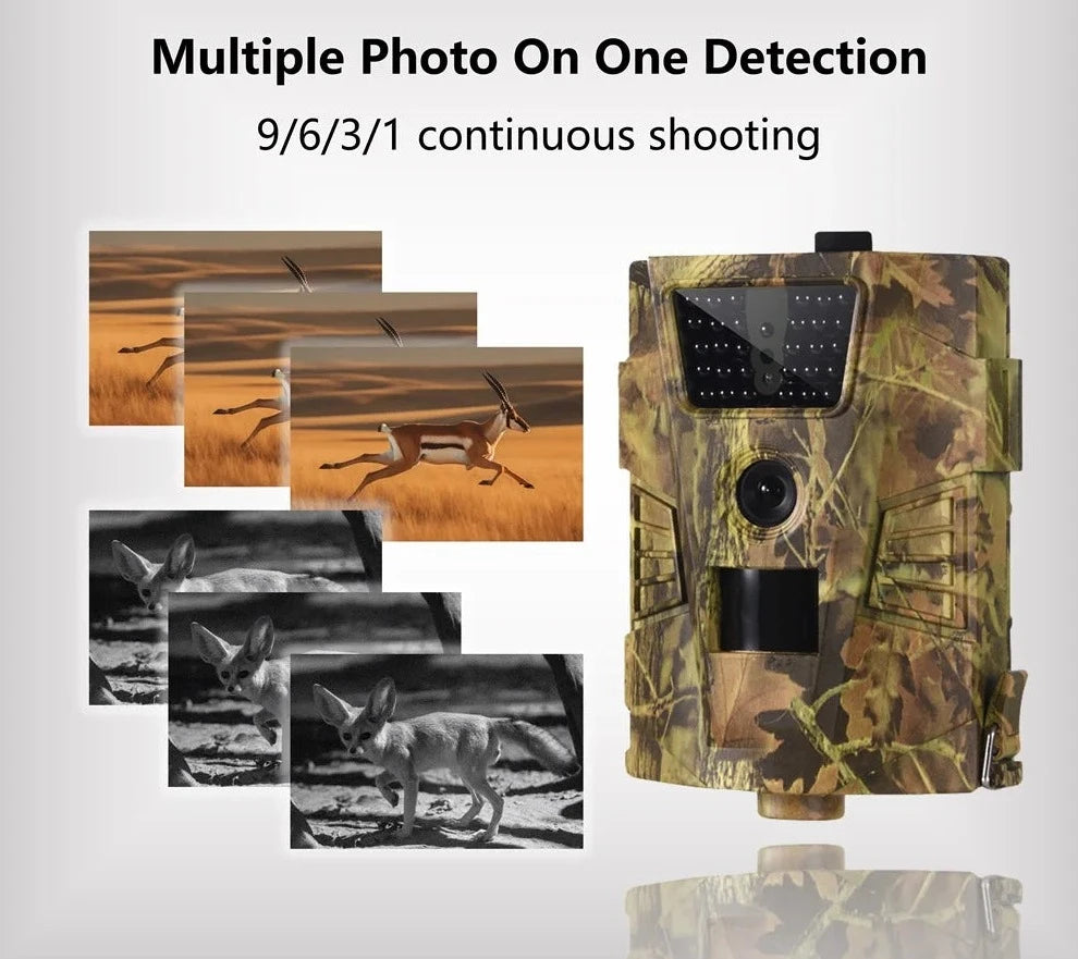 Hunting Trail Camera