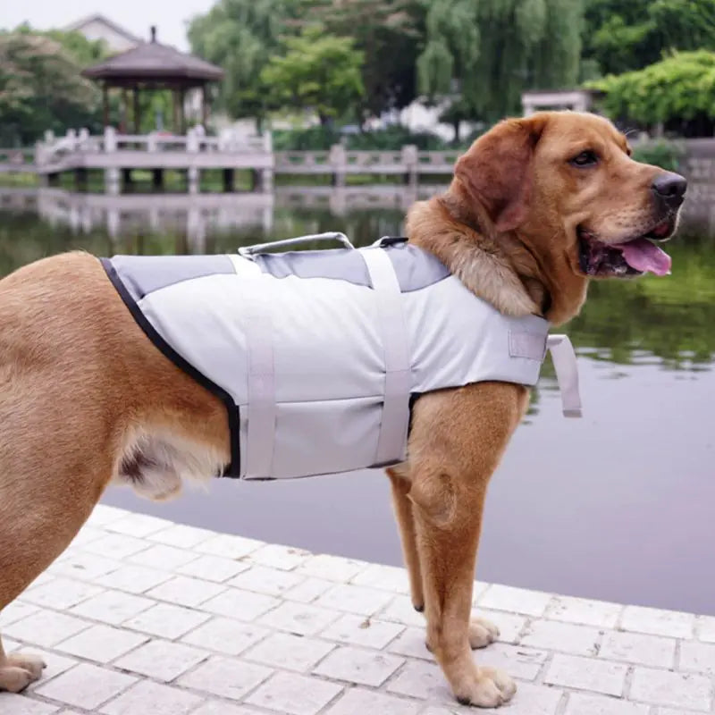 Premium Pet Life Jacket - Water Safety Vest for Dogs with Rescue Handle