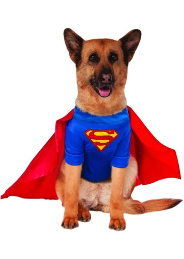 Pets DC Universe Superman Shirt & Cape Costume
