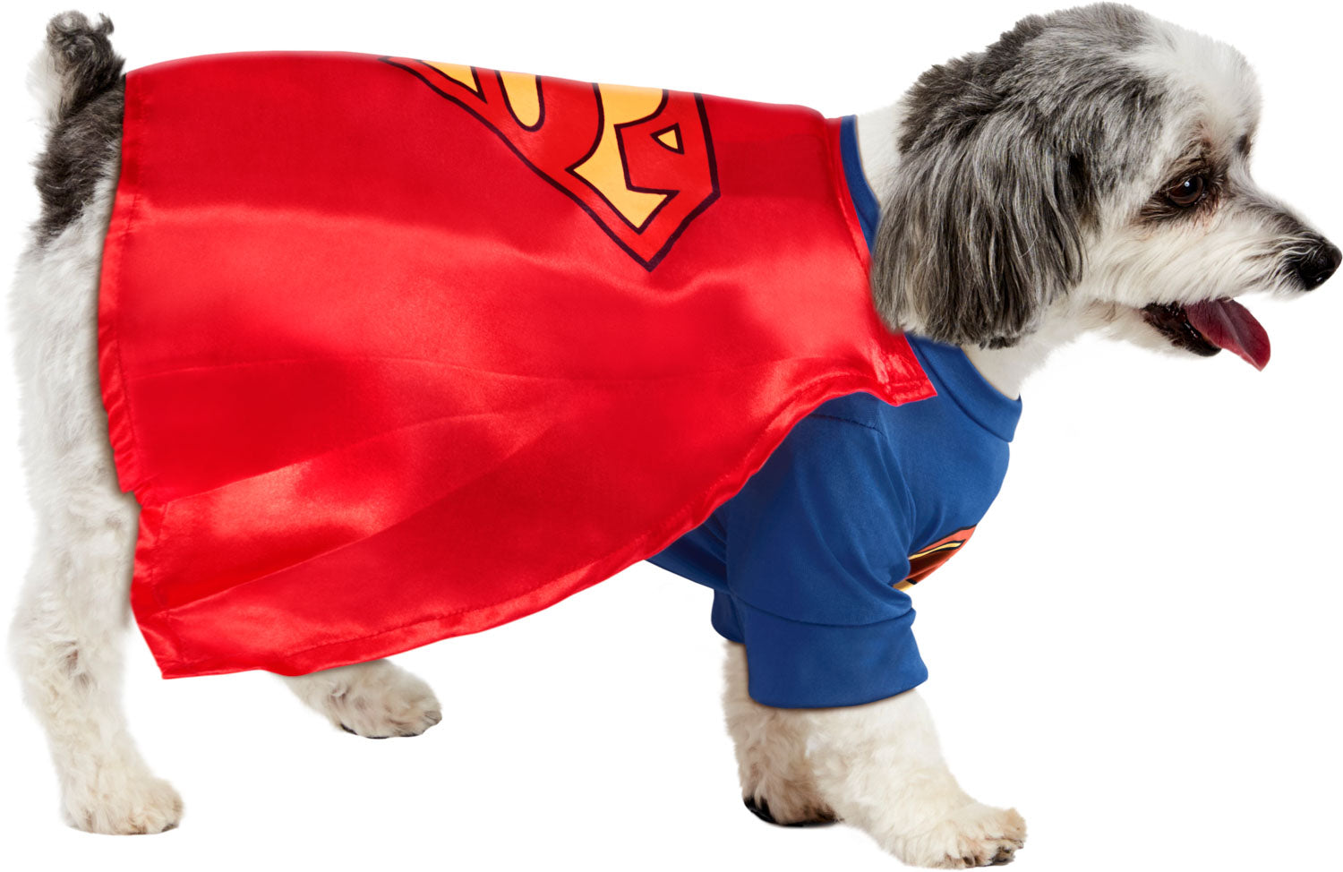 Pets DC Universe Superman Shirt & Cape Costume