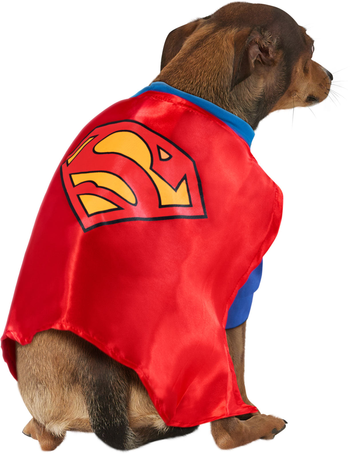 Pets DC Universe Superman Shirt & Cape Costume