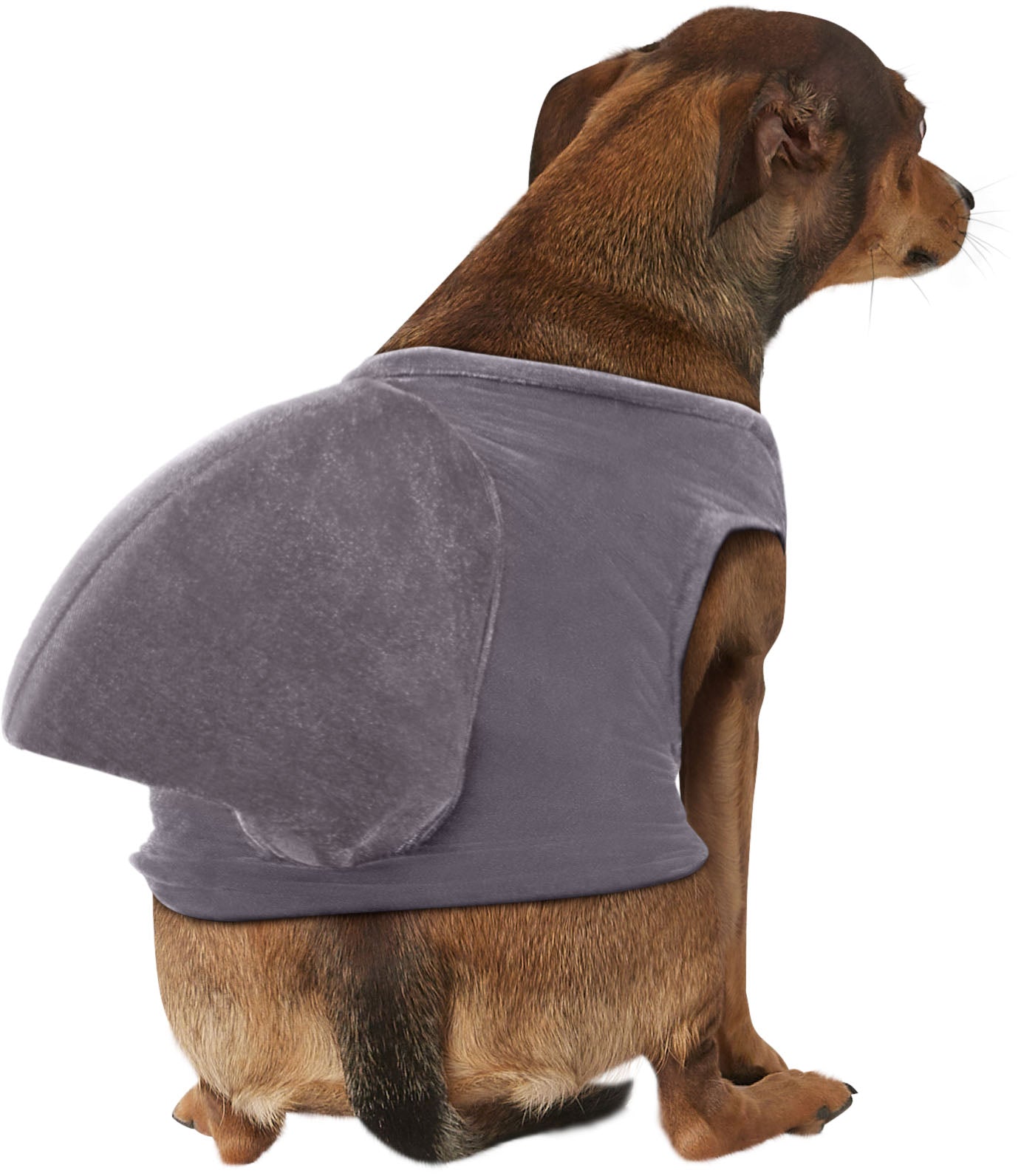 Pets Shark Fin Costume Accessory