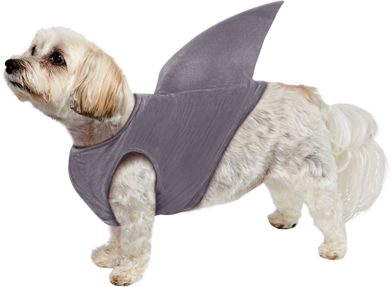Pets Shark Fin Costume Accessory